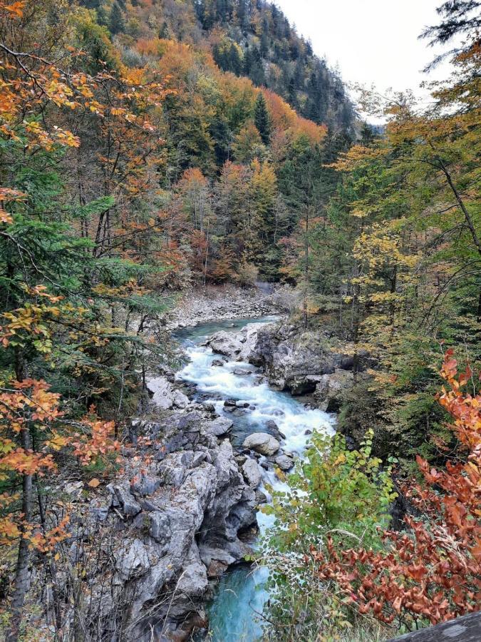 Steinerhaus Berggasthof เกริบมิง ภายนอก รูปภาพ